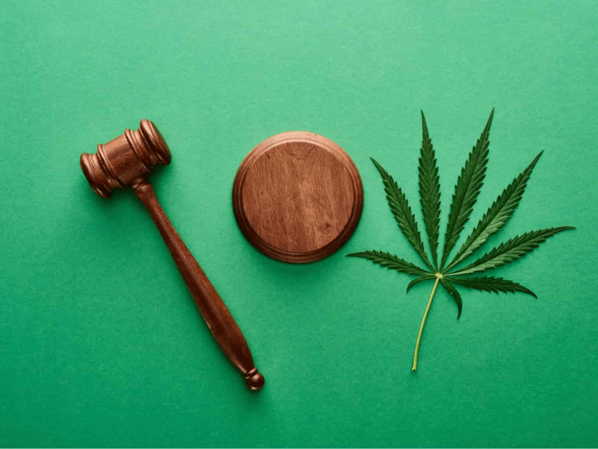 New Florida Bill Seeks to Protect Medical Marijuana Patients’ Parental&nbsp;Rights
